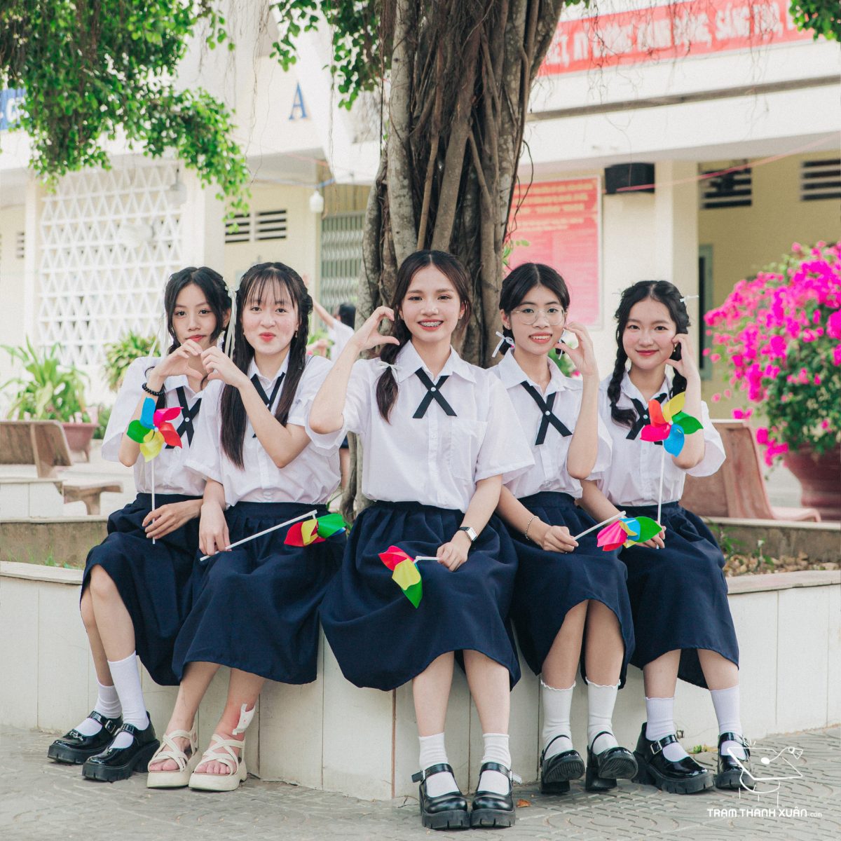 concept việt phục